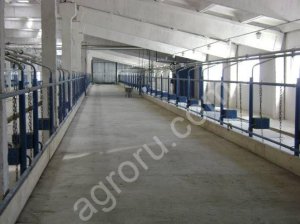 Ковры маты для коров