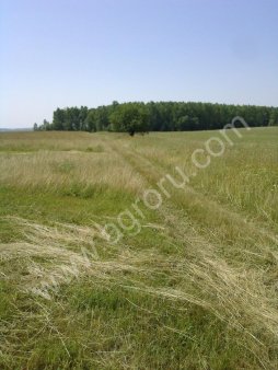 Земля 140 или 750 Га обрабатываемая