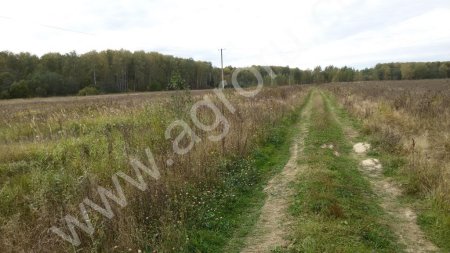 Участок 5,4 Га сельхозпроизводство