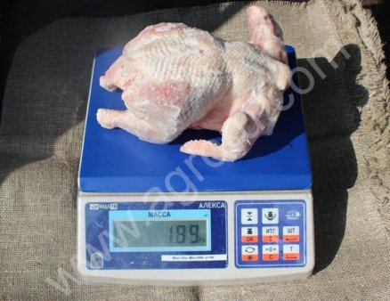 ЦБ ГОСТ 2 категории