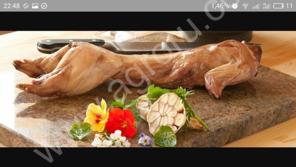 кроликов охлаждённых