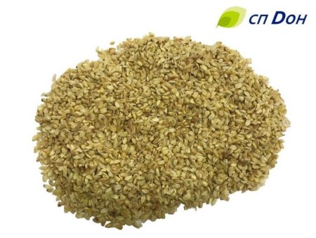 Зародыш кукурузный от производителя