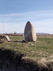 Привлечение финансирования в с/х проекты