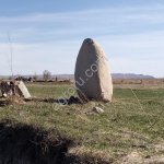 Привлечение финансирования в с/х проекты