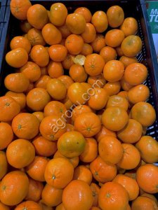 Мандарины Турция