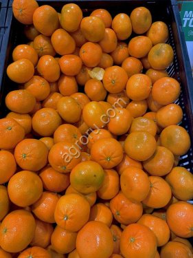 Мандарины Турция