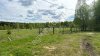 землю 6,2 га с/х в Московской области