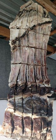 Вяленое мясо и колбасные продукты