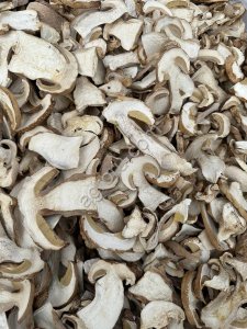 АЛТАЙСКИЙ СУХОЙ БЕЛЫЙ ГРИБ