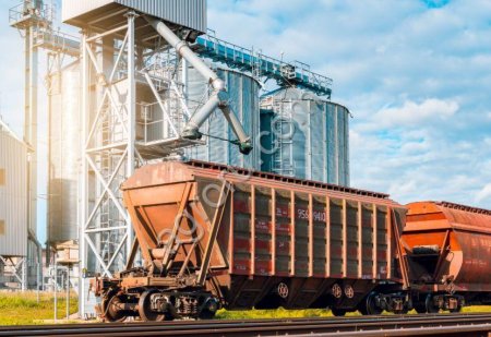 ЖД логистика и оформление экспорта под ключ