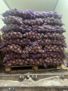 Картофель в Альметьевске сорт Гала