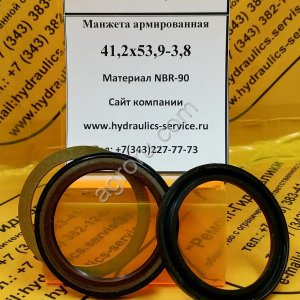 Сальник гидромотора/гидронасоса 41,2x53,9-3,8