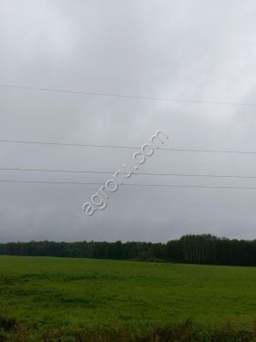 Земля сельхоз.назначения