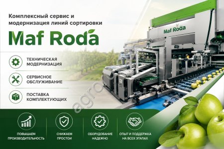 Комплексный сервис и модернизация линий сортировки Maf Roda