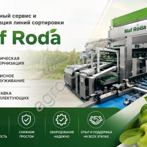 Комплексный сервис и модернизация линий сортировки Maf Roda