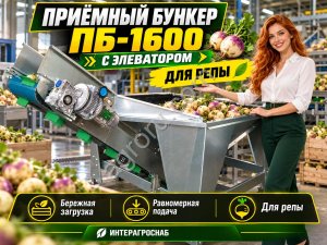 Приёмный бункер ПБ-1600 с элеватором для репы