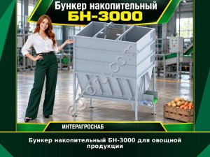 Бункер накопительный БН-3000 для овощной продукции