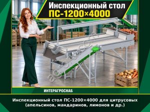 Инспекционный стол ПС-1200×4000 для цитрусовых (апельсинов, мандаринов, лимонов и др.)