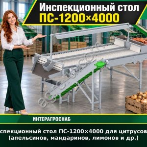 Инспекционный стол ПС-1200×4000 для цитрусовых (апельсинов, мандаринов, лимонов и др.)