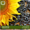 Семена подсолнечника Джин ВНИИМК Пустовойта В.С.