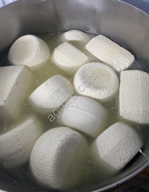 Домашний сыр из коровьего молока. Собственное производство сыра