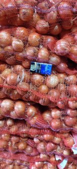 Лук репчатый