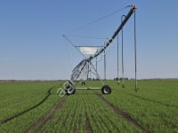 Выращивание семян на контрактной основе