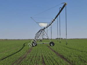 Выращивание семян на контрактной основе