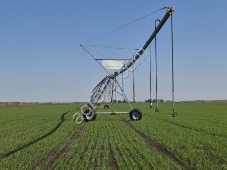 Выращивание семян на контрактной основе