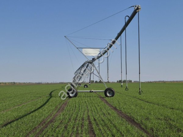 Выращивание семян на контрактной основе