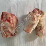 Путовый сустав говяжий (лытка)