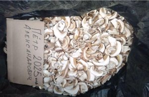 Сухой белый гриб