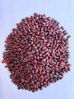 Фасоль из Индии