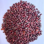 Фасоль из Индии