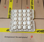 Яйца инкубационные утки Мулард