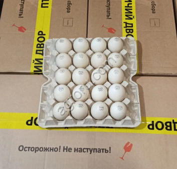 Яйца инкубационные утки Мулард
