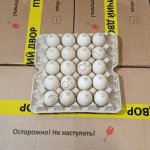 Яйца инкубационные утки Мулард