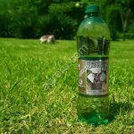 Минеральная вода Горячий ключ 2000