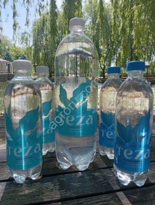 Дубова Наталья Владимировна