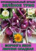Функциональный купаж Зелёное Трио. Моринга, Якон, Липпия сладкая