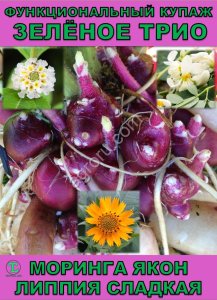 Функциональный купаж Зелёное Трио. Моринга, Якон, Липпия сладкая