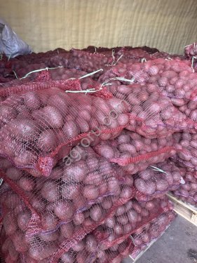 картофель