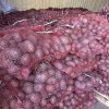 картофель