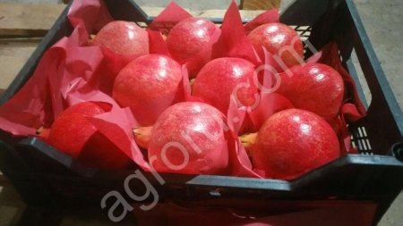 Фрукты-овощи из Египта