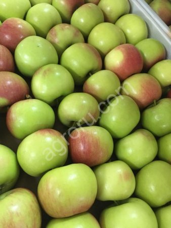 Яблоки Оптом