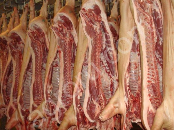 Полутушки свинины