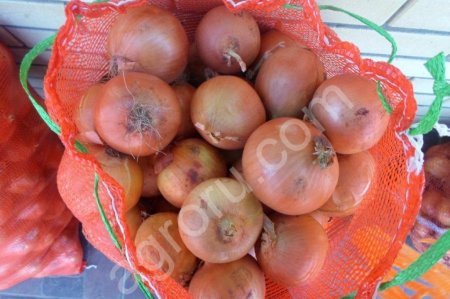 Лук (Тореско)