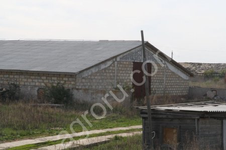 с/х предприятие  на 300га
