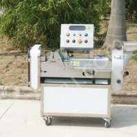 Многофункциональный слайсер для нарезки клубневых овощей и измельчения зелени