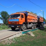 Зерновозы /перевозка зерна / услуги по уборке урожая